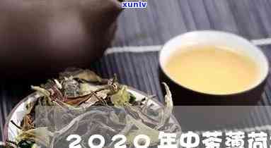 中茶薄荷塘普洱茶：2020年最新价格一览