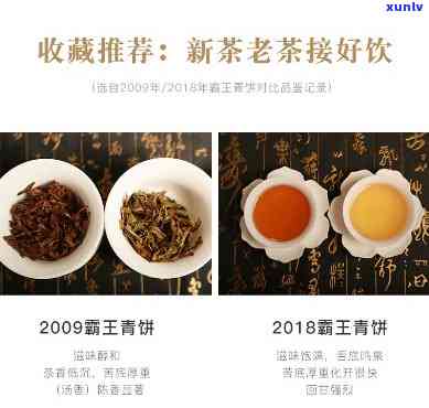 2019霸王青饼，霸王青饼：2019年的经典茶品推荐