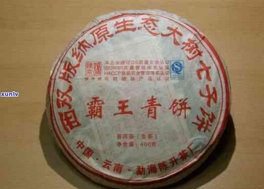 2009年霸王青饼-2009年霸王青饼价格