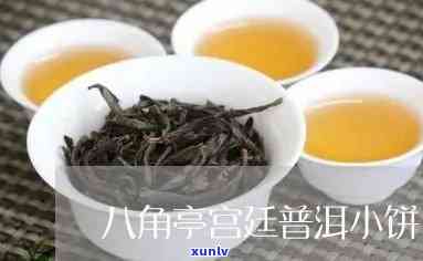 春韵古食：莲藕馋嘴，茶楼诗意，古食文化新体验