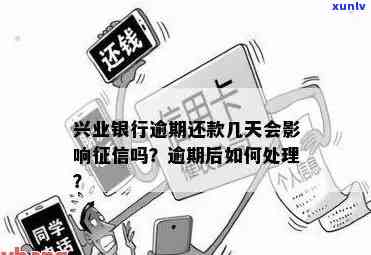 女人优雅泡茶的样子-女人优雅泡茶的样子图片