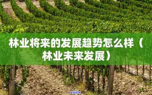 农业银行公务卡逾期会怎么样，警惕！农业银行公务卡逾期可能带来的结果