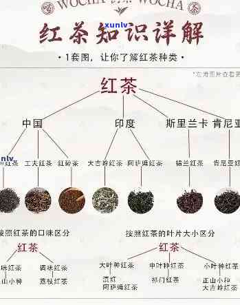 探秘门红茶：香气、滋味、外形与叶底全解析