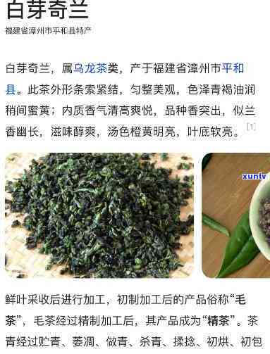 白芽奇兰茶的价格，探究白芽奇兰茶的市场价格，新品上市！