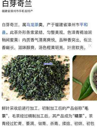 白芽奇兰手工茶价格、茶艺介绍与茶叶多少钱一斤全知道