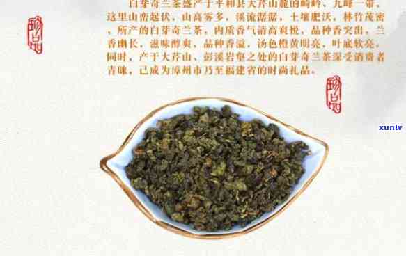 炭焙白芽奇兰茶价格-炭焙白芽奇兰茶多少钱一斤