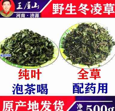 济源冬草茶的价格是多少，揭秘济源冬草茶价格，你真的知道吗？