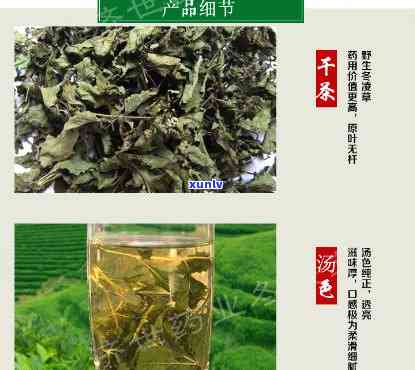 济源冬草茶的价格-济源冬草茶的价格是多少