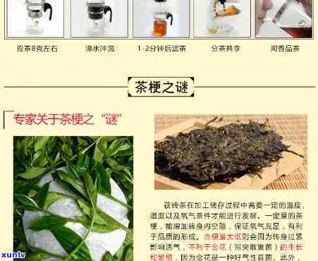 怡清源大师茯茶价格-怡清源手工茯茶1308价格