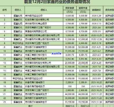 国林兴业逾期最新进展，【国林兴业】逾期最新进展公布，投资者关注方案进展