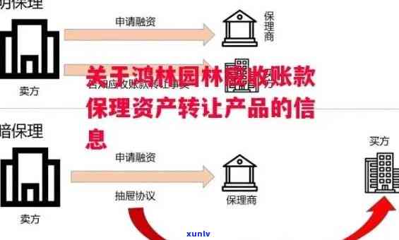 国林兴业是非法集资，其资产管理合法性存疑