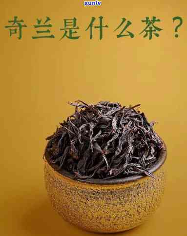 奇兰茶属什么茶？价格高还是低？