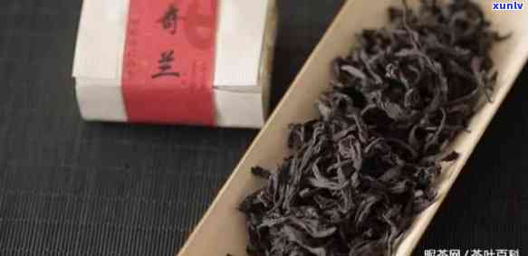 奇兰茶叶是什么品种？详解其种类与图片特征