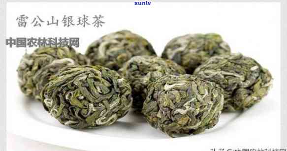 雷山银球茶：功效与作用解析