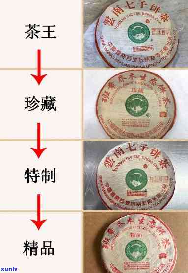 09福今茶王青饼价格：2009与2014出厂价对比