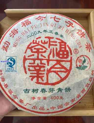 2009年福今茶王青饼：春茶图片