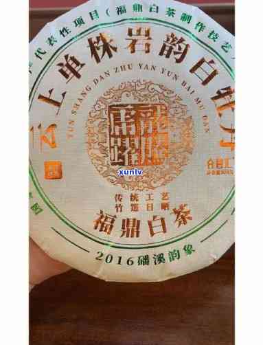 2008年白牡丹：茶饼价格与口感全面解析