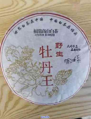 2008年白牡丹：茶饼价格与口感全面解析