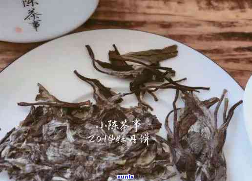 白牡丹8年老茶：探索8年陈白牡丹白茶的独特价值与魅力