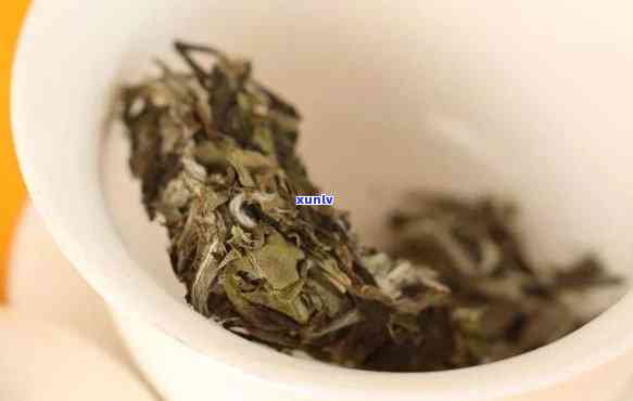 白牡丹8年老茶：探索8年陈白牡丹白茶的独特价值与魅力