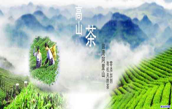 高贡山茶业：拥有自有茶山与官方网站