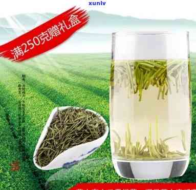 湖北英山云雾茶价格特级，特级湖北英山云雾茶，价格优，品质保证！