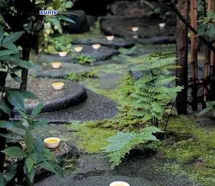 下雨幽静喝茶的图片大全：唯美大图集