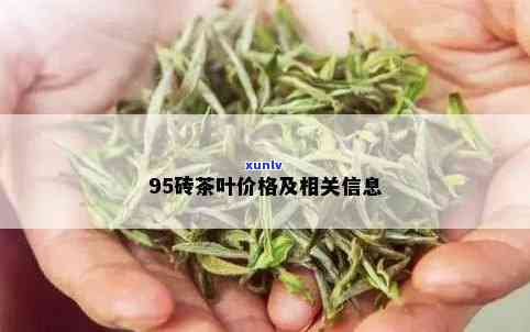 313茶王是什么茶，揭示谜团：313茶王究竟是什么茶叶？