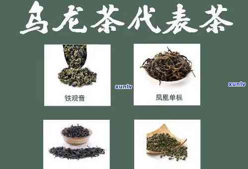 茗茶的分类有哪些品种，探索茗茶世界：了解各种茗茶品种的分类