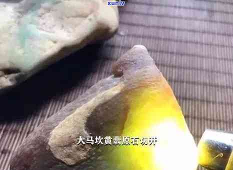 生态野生饼茶班章王中国土产畜产，探究中国本土特有生态野生饼茶——班章王的养殖与生产