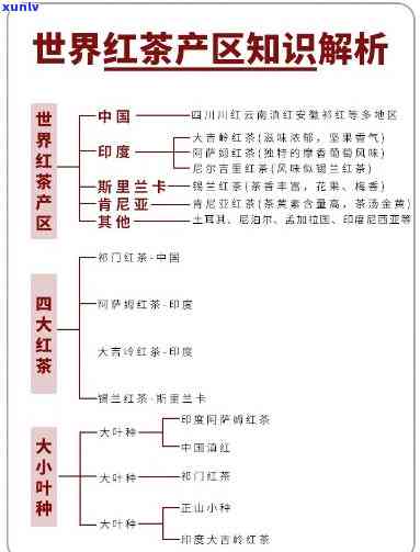 玉镯飘紫飘绿价格详解：图片、对比及含义全掌握