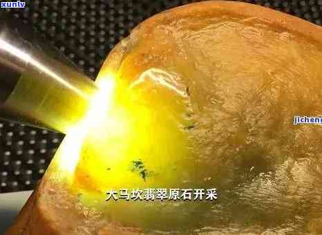 生态野生饼茶班章王中国土产畜产，探究中国本土特有生态野生饼茶——班章王的养殖与生产