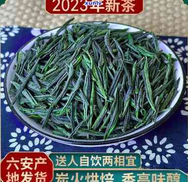 茶的产地：龙井茶与六安瓜片的故乡