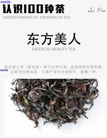 东方美人茶品鉴，探索东方之美：品鉴东方美人茶的无穷魅力