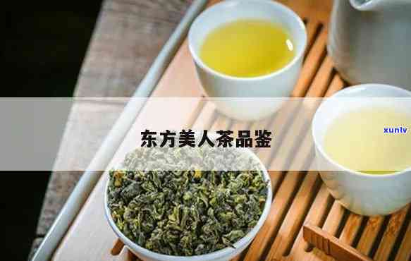 东方美人茶品鉴，探索东方之美：品鉴东方美人茶的无穷魅力