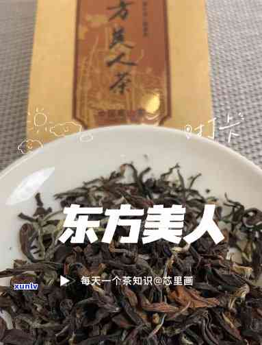 东方美人茶品鉴，探索东方之美：品鉴东方美人茶的无穷魅力