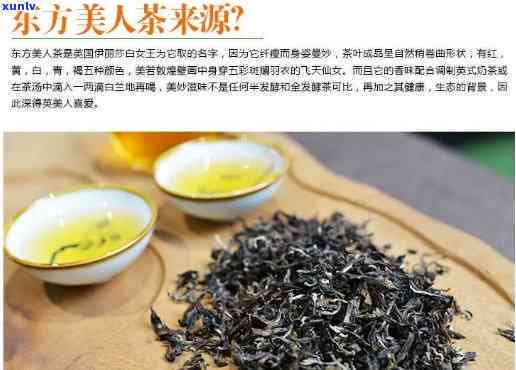 顶级东方美人茶价格-顶级东方美人茶价格是多少