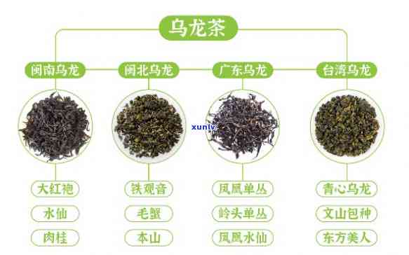 高山乌龙茶等级，探索高山乌龙茶的等级体系：从初级到顶级的详细介绍