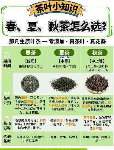 春茶与秋茶的区别是什么？一图解析