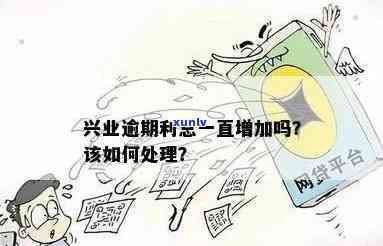 金谷兴业理财逾期怎么办？解决方案全解析