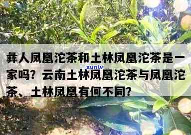 凤凰沱茶与土林凤凰的区别：口感、产地、外观对比图