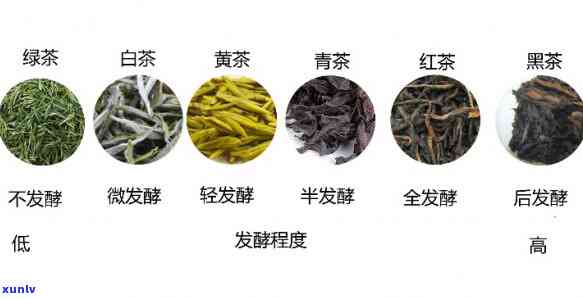 茶的加工 *** 有几类呢，探究茶叶加工 *** ：种类繁多，你了解多少？