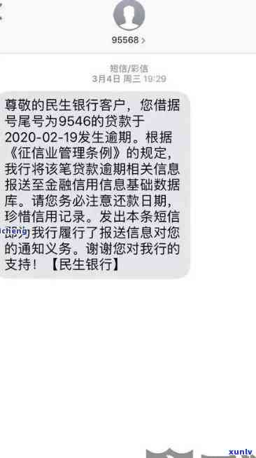 民生银行逾期利息是多少，查询民生银行逾期利息，熟悉还款责任与风险