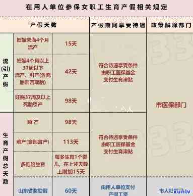 糯种飘花翡翠：品种、价格、鉴别与选购指南