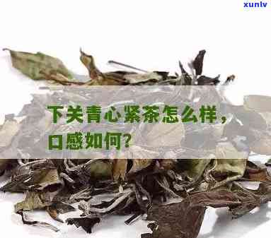 下关青心紧茶，品味云南特色：下关青心紧茶的魅力探索