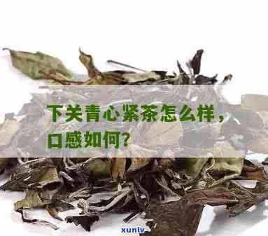 下关青心紧茶怎么样-下关青心紧茶口感怎么样