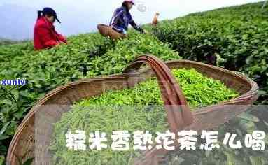 糯米香熟沱茶怎么喝-糯米香熟沱茶怎么喝好喝