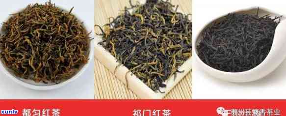 门红茶的品质特点详解：特具兰花香，色泽乌润，色红艳明亮，滋味醇厚回。