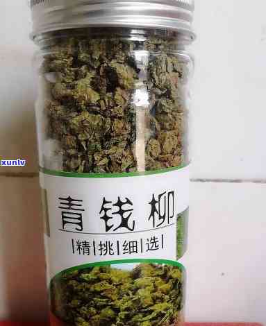 青钱柳茶：真的能帮助控制血糖吗？