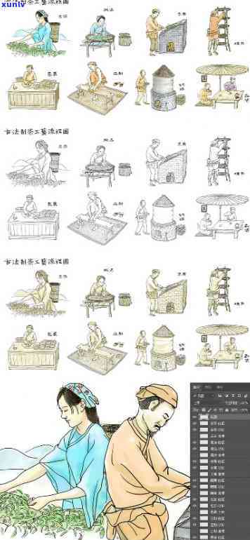 古法制茶图片及价格介绍大全视频